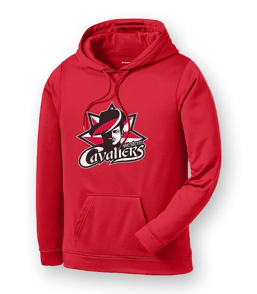 Picture of F244 - Fleece Hooded Pullover